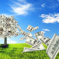 Modern Monetary Theory - The Magic Money Tree